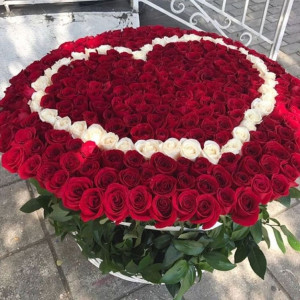 Премиум корзина 501 роза с сердцем